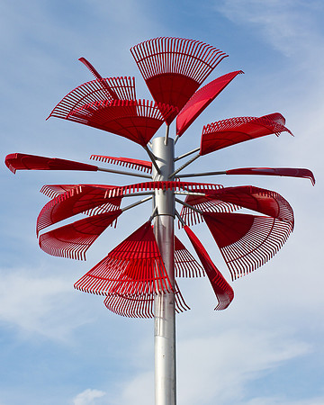 "Red Palm"