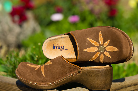 Clark's Indigo