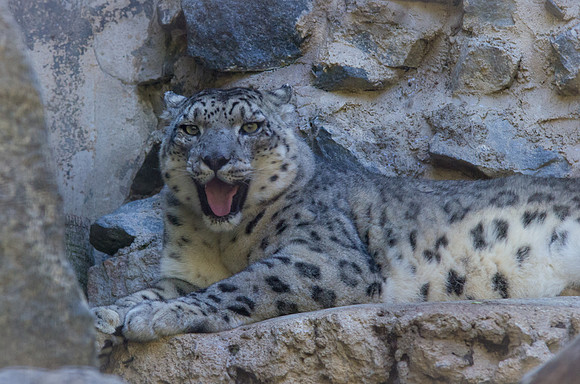 IMGP2747