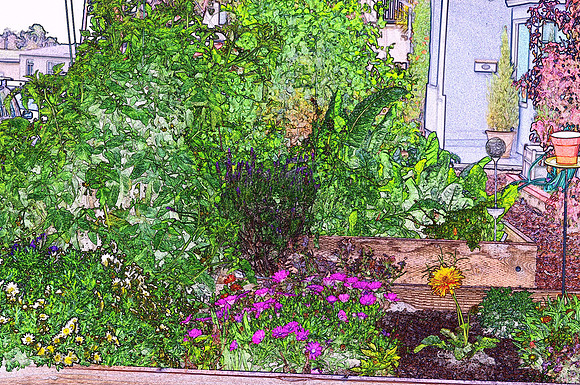 My Garden