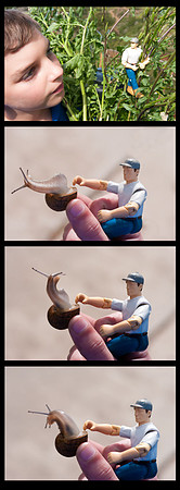 Snail Attraction