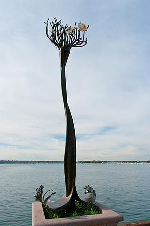 "Up-Rooted"