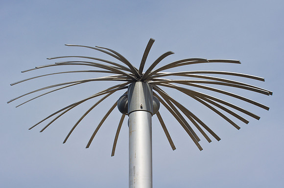 "23rd Century Palm"